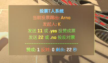 VIP投票T人系统